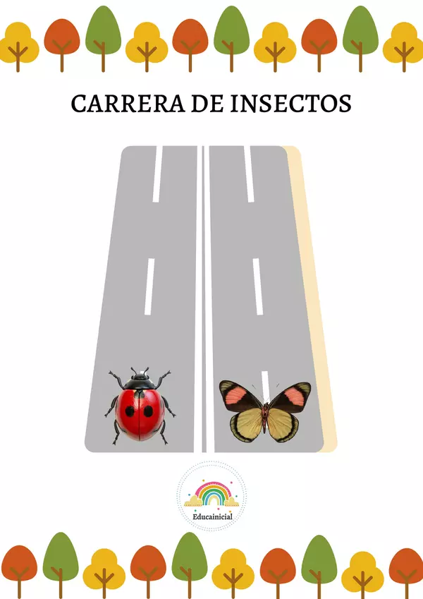Carrera de Insectos