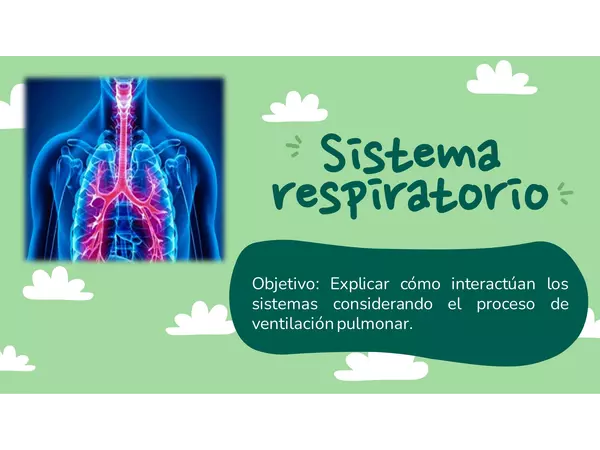 El sistema Respiratorio