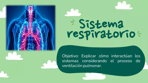 El sistema Respiratorio | profe.social