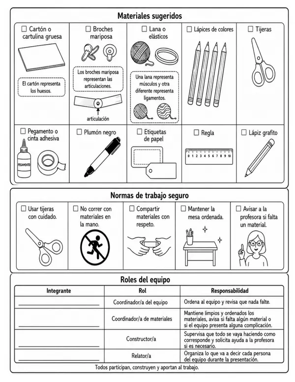 Evaluación Sistema Locomotor 4° Básico OA5 OA6 | Trabajo Práctico y Modelo Articulado