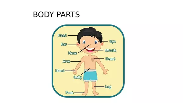 Body parts - First Grade 