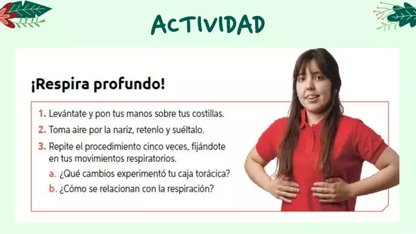 El sistema Respiratorio