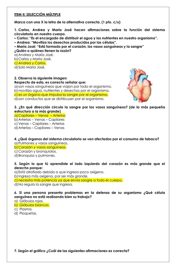 Prueba ciencias - Sistema circulatorio