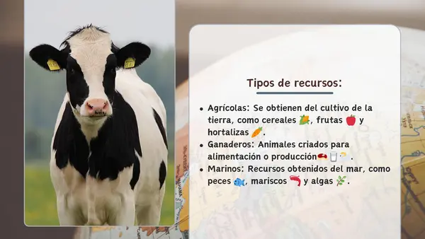 Los recursos de América | Cuarto Básico