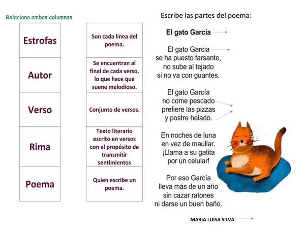 Guías sobre instrumentos de medición en ciencias