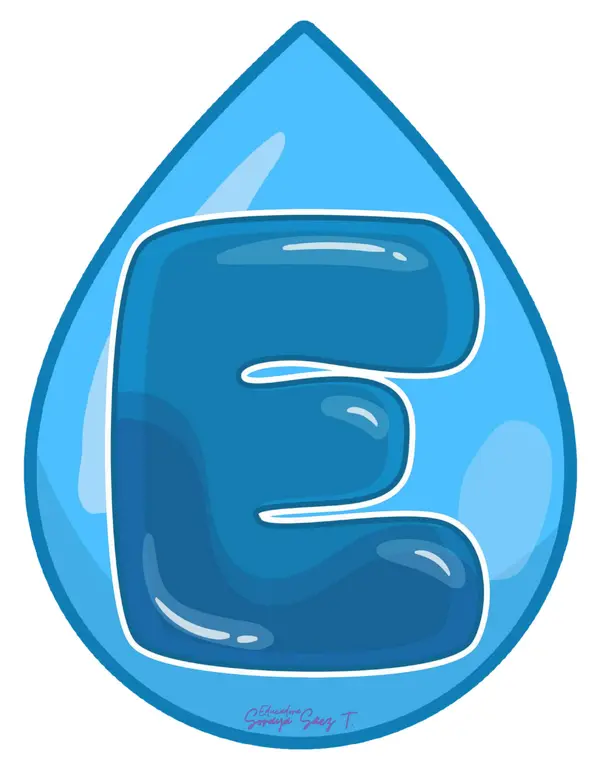 Bandería Día del Agua