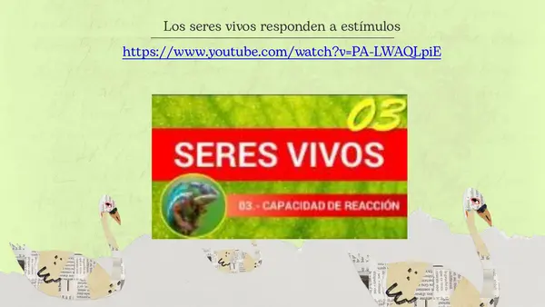 Los seres vivos responden a estímulos 