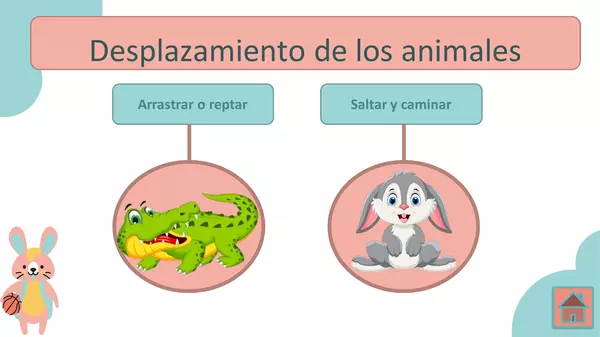 Animales chilenos y sus cuidados 