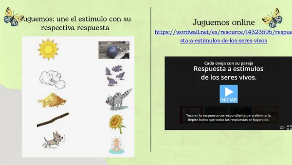 Los seres vivos responden a estímulos 