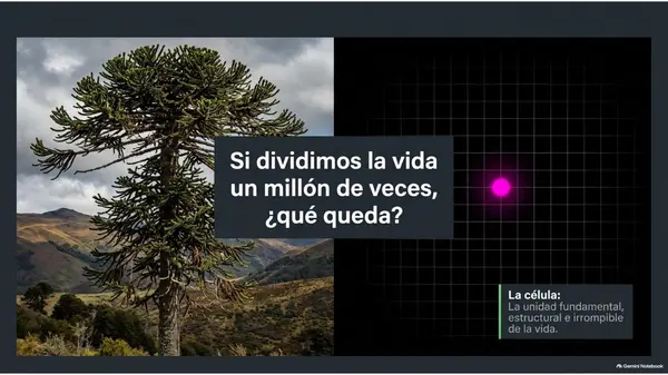 Presentación "Eucarionte y procarionte"