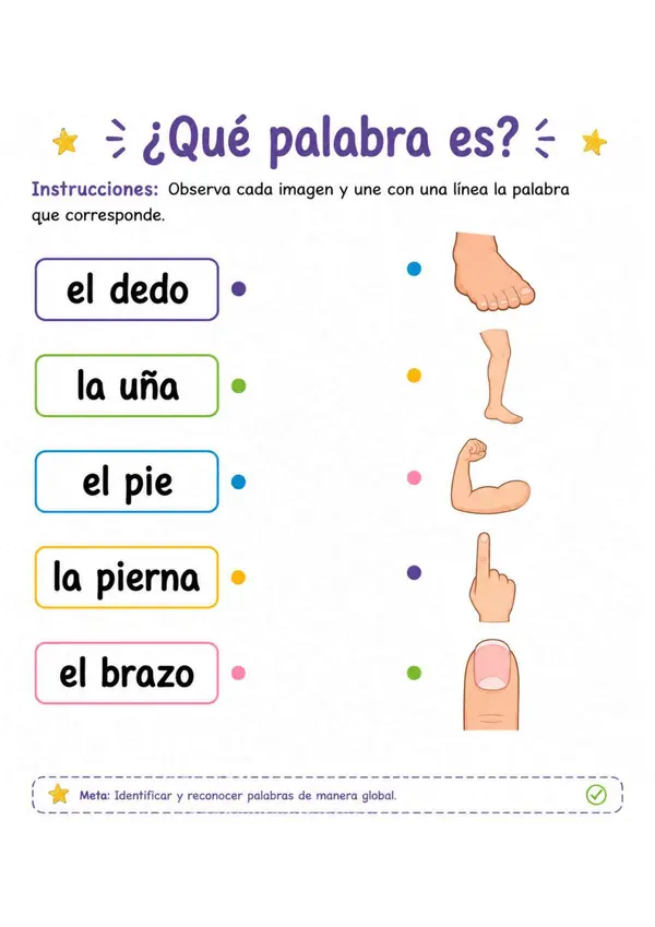 Partes del cuerpo- metodo global