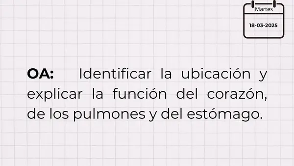 Los sistemas.