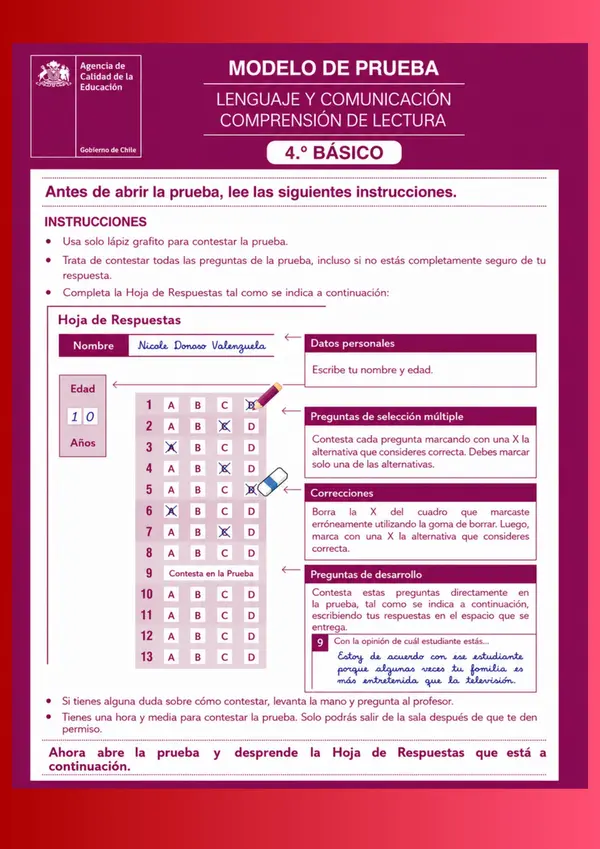 Mini ensayo n°5. SIMCE 4° BÁSICO - Lenguaje y comunicación