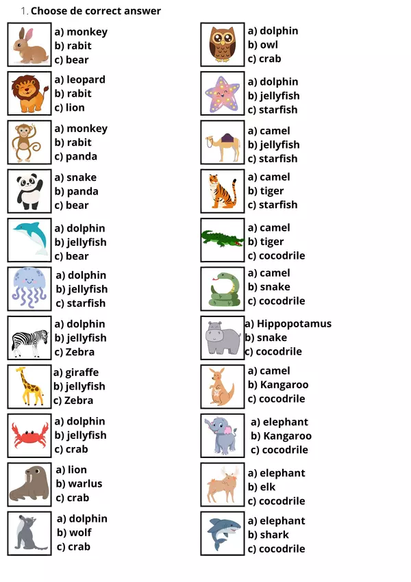 Vocabulary Animals