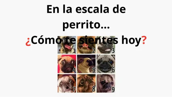 Adjetivos 