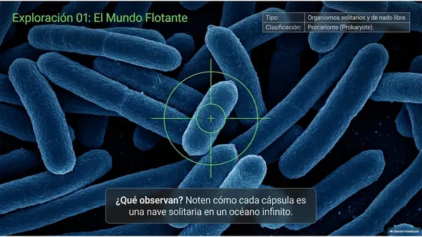 Presentación "Eucarionte y procarionte"