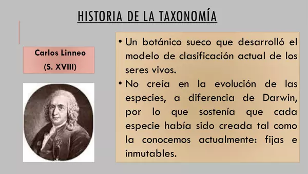 Taxonomía 