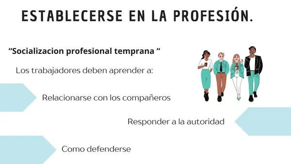 La Carrera Profesional