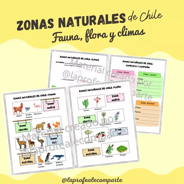 Zonas naturales de Chile: Fauna, flora y climas