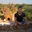Juan Carlos Molina Yáñez - @juan.carlos.molina.ya