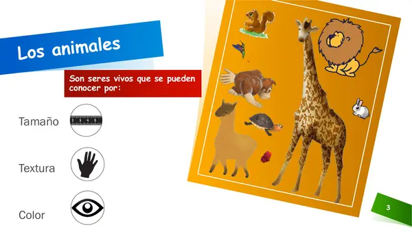 Clasificación de animales