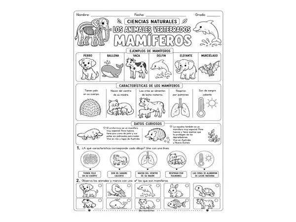 GUIA CIENCIAS NATURALES VERTEBRADOS