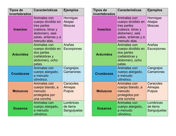 Cuadro invertebrados
