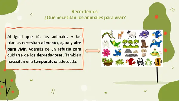 Necesidades de las plantas