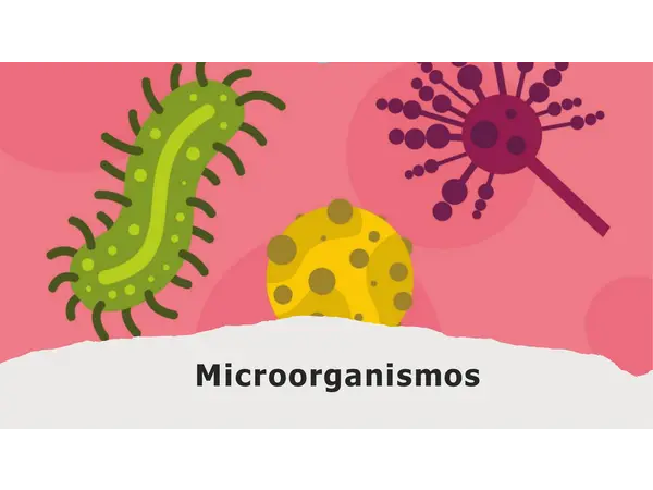 Microorganismos 