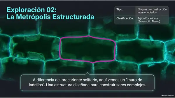 Presentación "Eucarionte y procarionte"