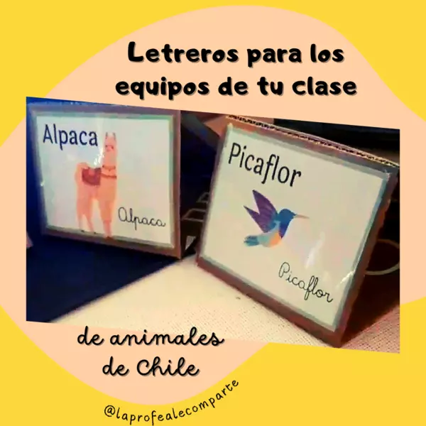 Arma estos letreros de animales chilenos para equipos de clase 