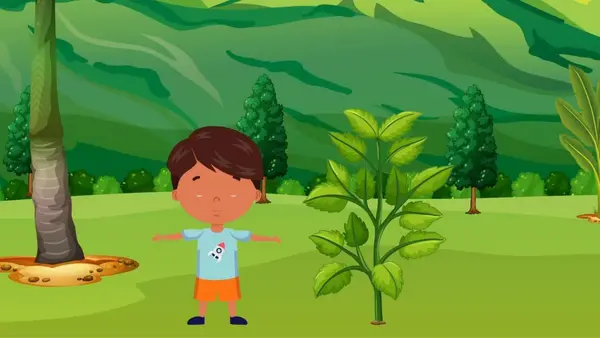 1° básico - Partes de las plantas