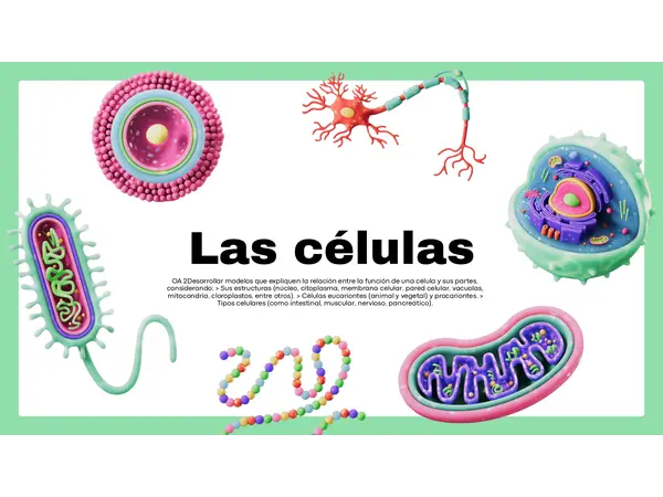 La célula y sus organelos"