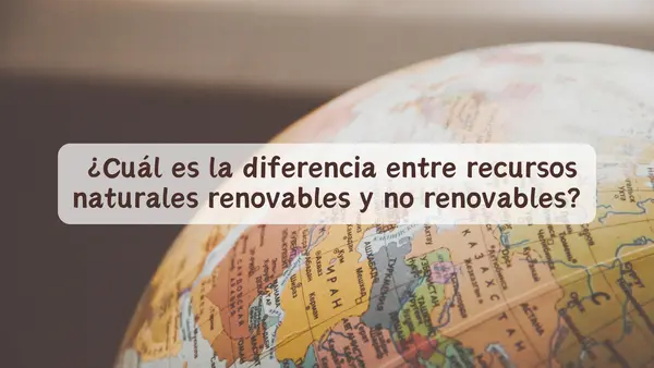 Los recursos naturales en la vida cotidiana | Cuarto Básico 