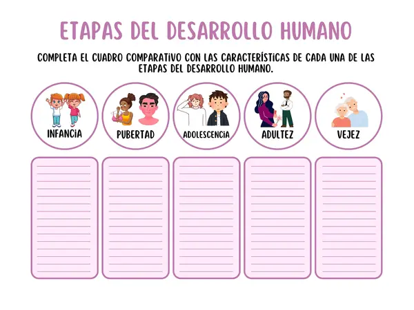 Cuadro comparativo - Etapas del desarrollo humano