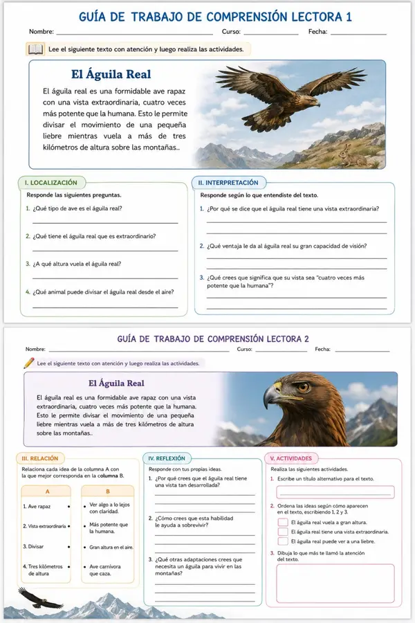 Reyes del aire. comprensión lectora 3 