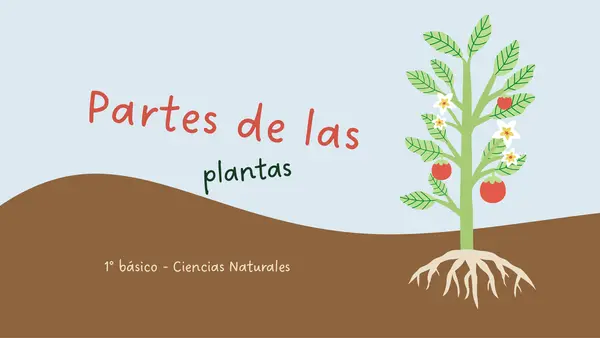 1° básico - Partes de las plantas