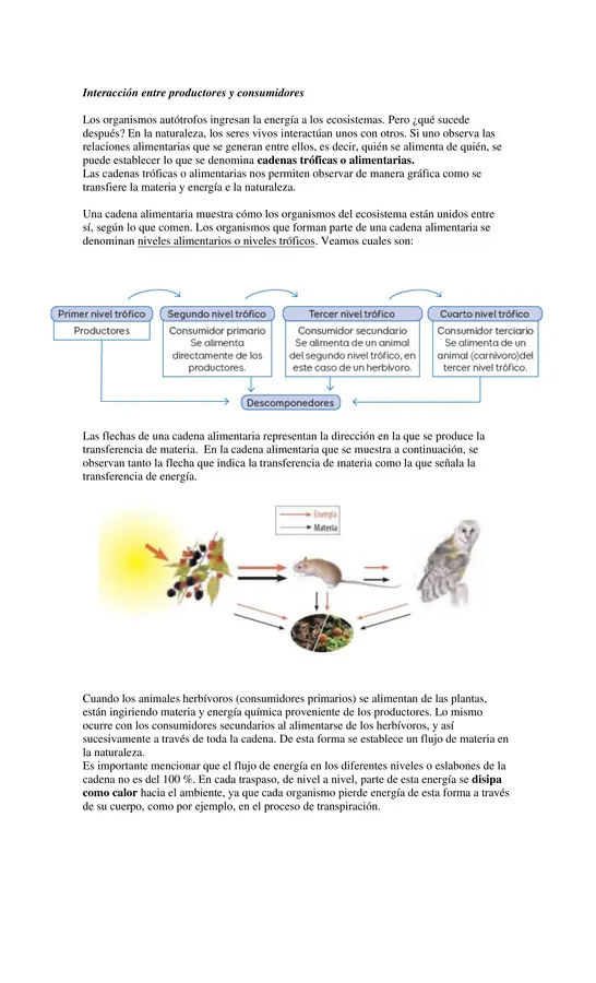 Guía de Autoaprendizaje - Ciencias Naturales 6° básico
