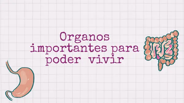 Los sistemas.