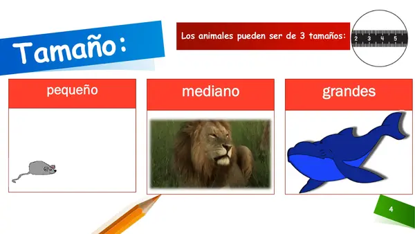 Clasificación de animales