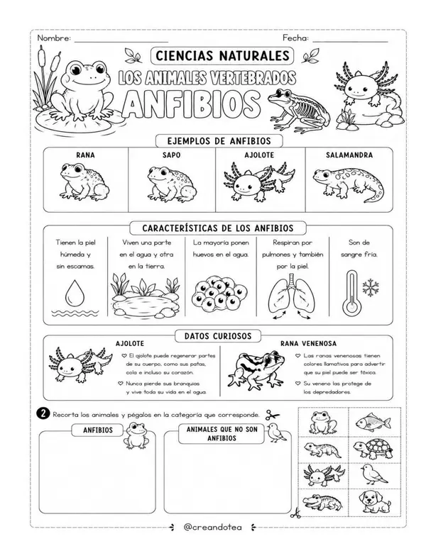 GUIA CIENCIAS NATURALES VERTEBRADOS