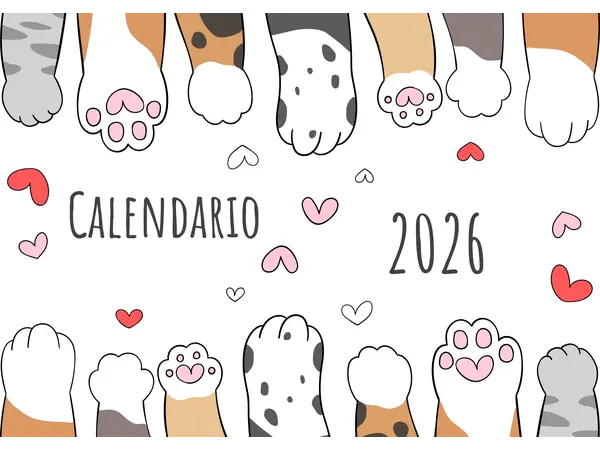 Calendario 2026 🐾🐈