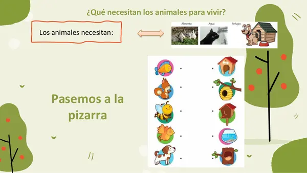 Necesidades de las plantas