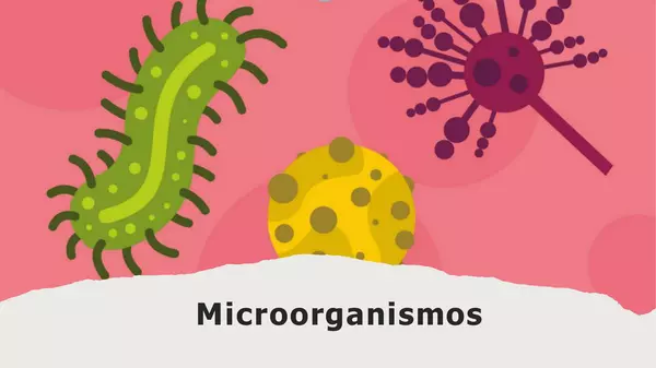 Microorganismos patógenos 