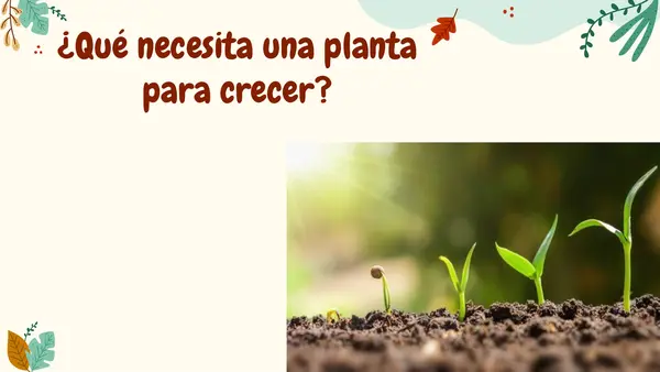 PPT clase  - Ciencias Naturales Biología