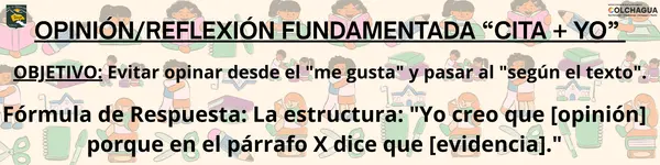 Habilidad del Lenguaje: Reflexionar