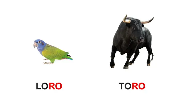 Descubriendo Las Rimas Profe Social