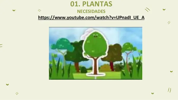 Necesidades de las plantas