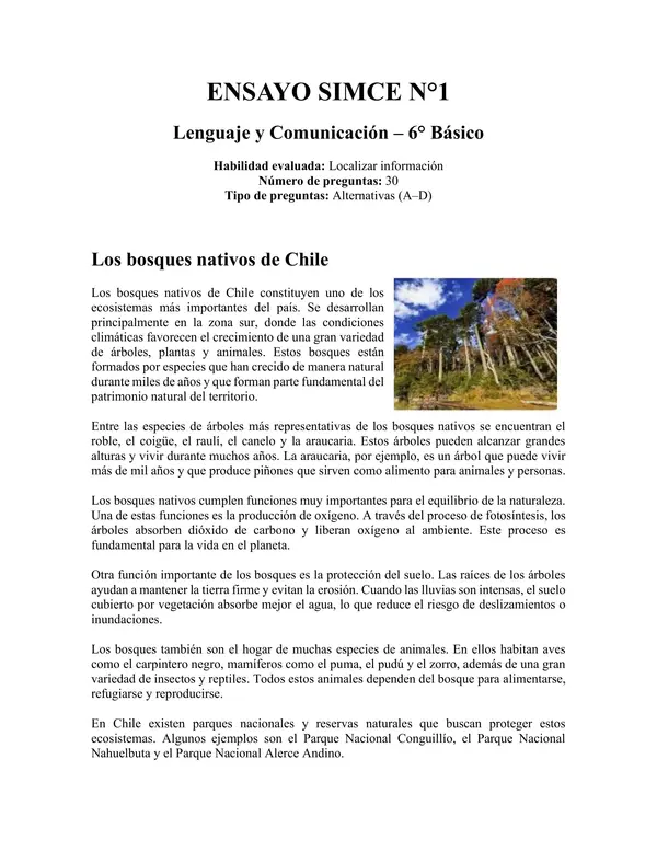 Ensayo SIMCE N°1 de leguaje para 6° Básico