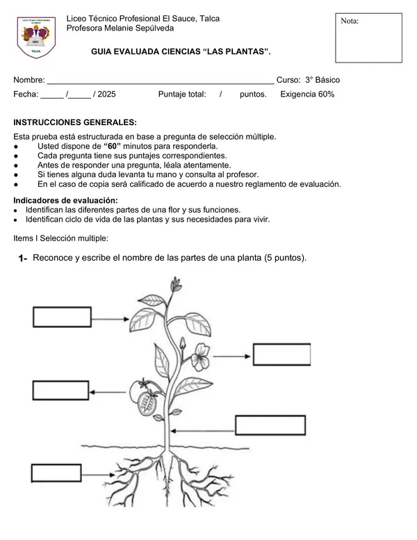 Las plantas